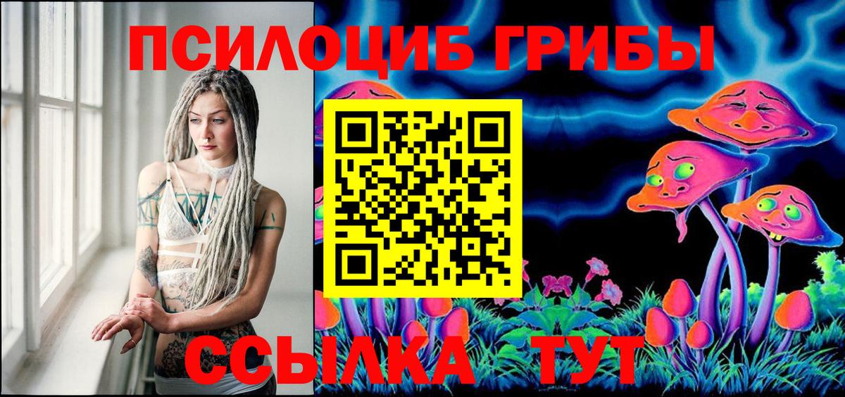 Псилоцибиновые грибы Cubensis  Вход с VPN  Гурьевск  Псилоцибиновые грибы Psilocybe 