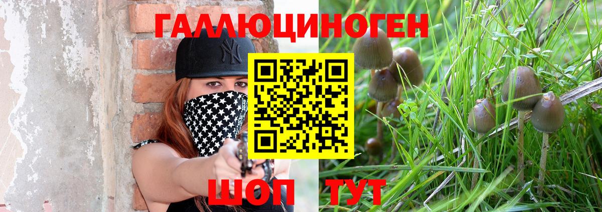 Псилоцибиновые грибы прущие грибы Гурьевск